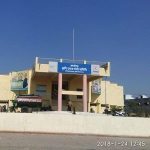 Jaora Krishi Mandi Samiti