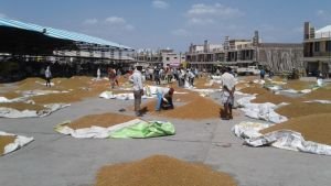 Jaora Krishi Mandi Samiti Market view