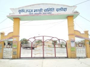 Daloda Krishi Mandi Samiti Gate