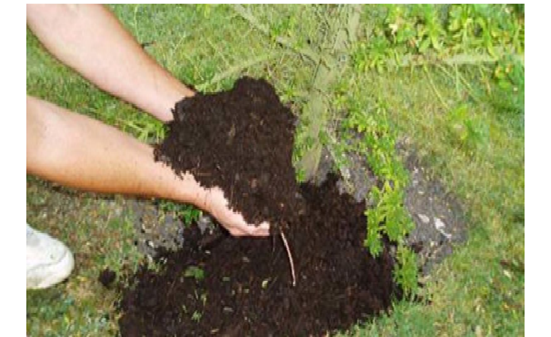 उर्वरक का करें इस्तेमाल