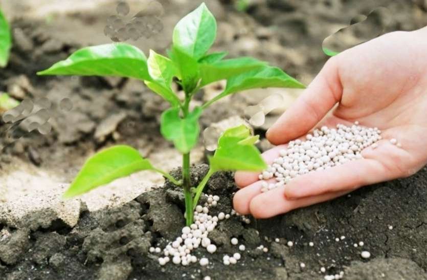 किसान खुद ही जांच सकते हैं उर्वरकों की गुणवत्ता