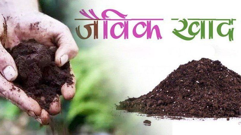 जैविक खाद