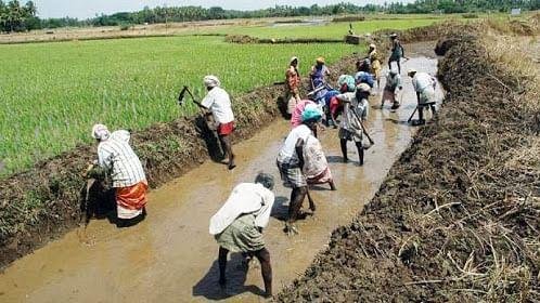 मनरेगा बना मजदूरों की आय का सहारा