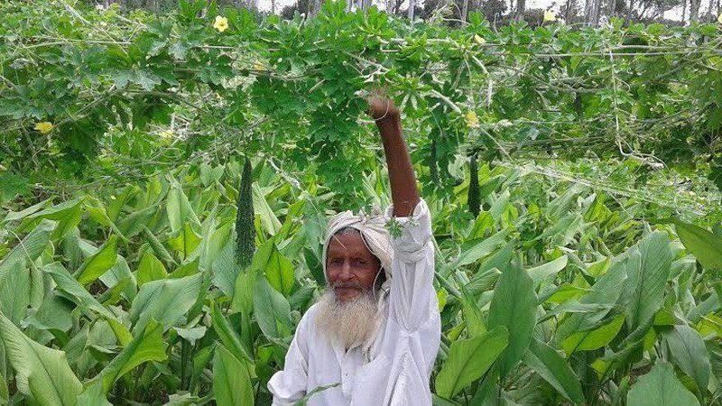 लॉकडाउन में किसानों को मिला रोजगार का नया जरिया