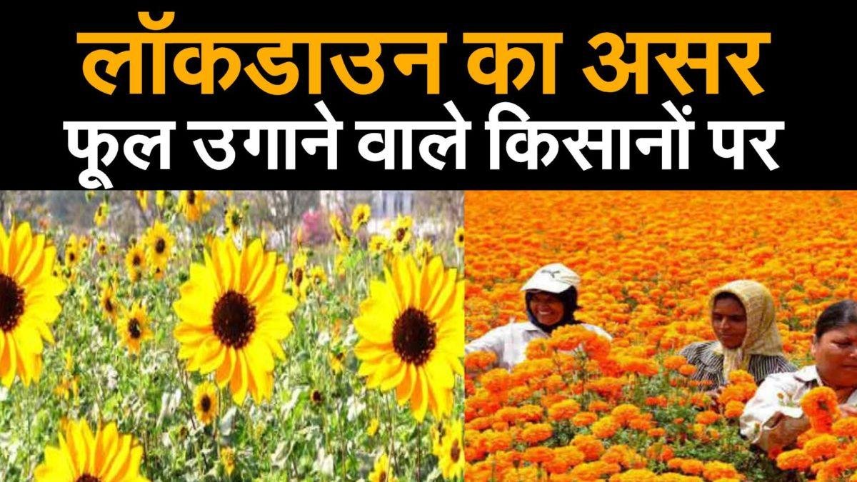 कोरोना काल में संकट में फूल कारोबारी