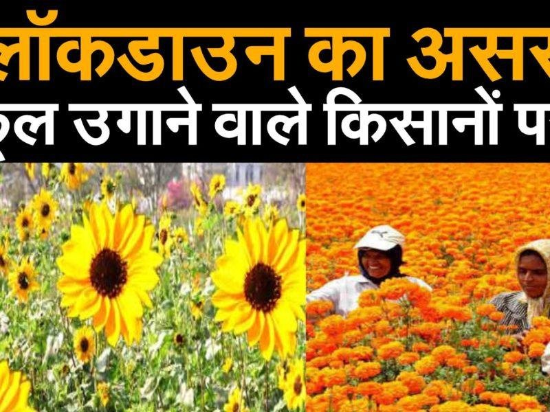 कोरोना काल में संकट में फूल कारोबारी