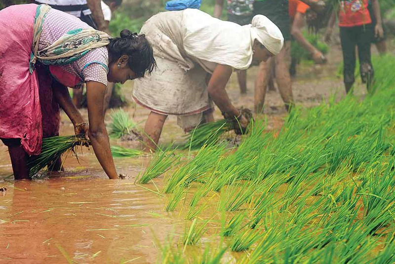 मजदूरी करने वाली इस महिला