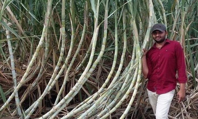 खेती-किसानी से अपनी अलग ही पहचान बनाने में जुटे युवा