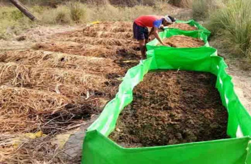 कम्पोस्ट खाद