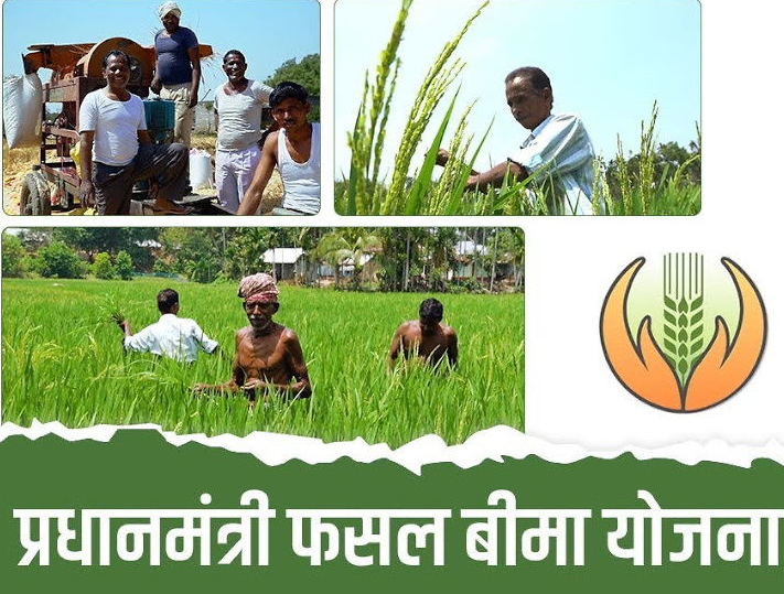 फसल बीमा