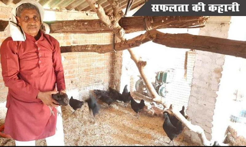 बादाम सिंह यादव, कड़कनाथ मुर्गा पाल