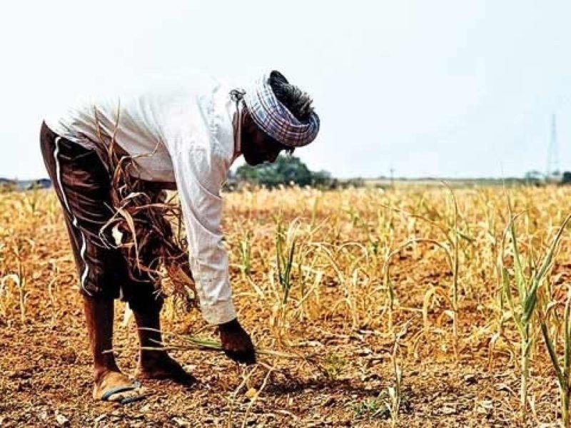 Loan Waiver Scheme In UP