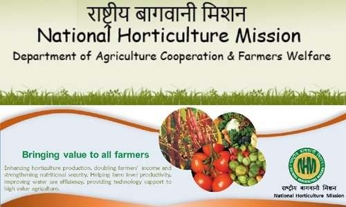 राष्ट्रीय बागवानी मिशन योजना राजस्थान सरकार