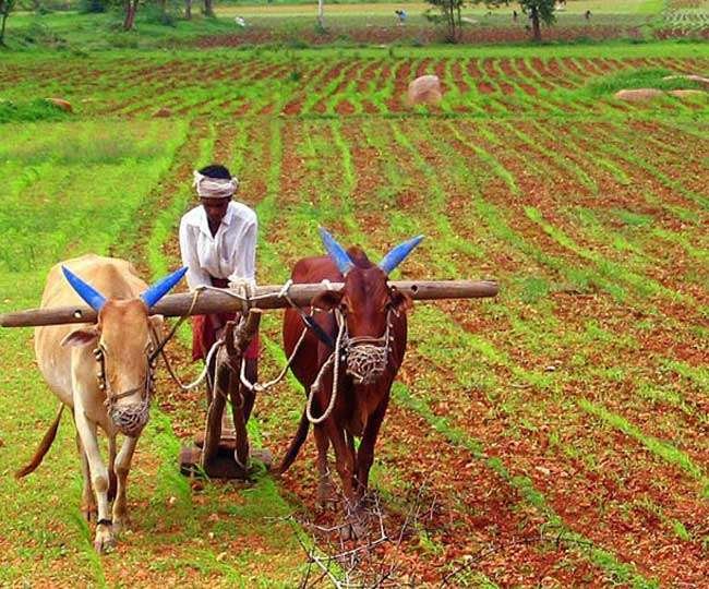 Contract Farming Scheme In Uttar Pradesh