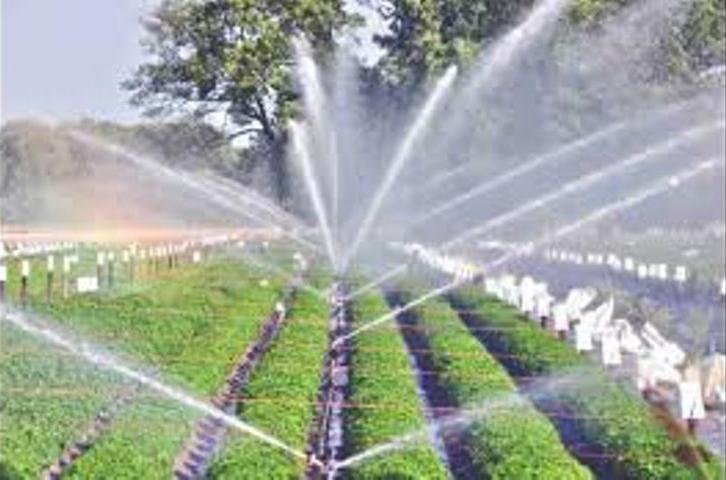 राज्य माइक्रोइरीगेशन योजना