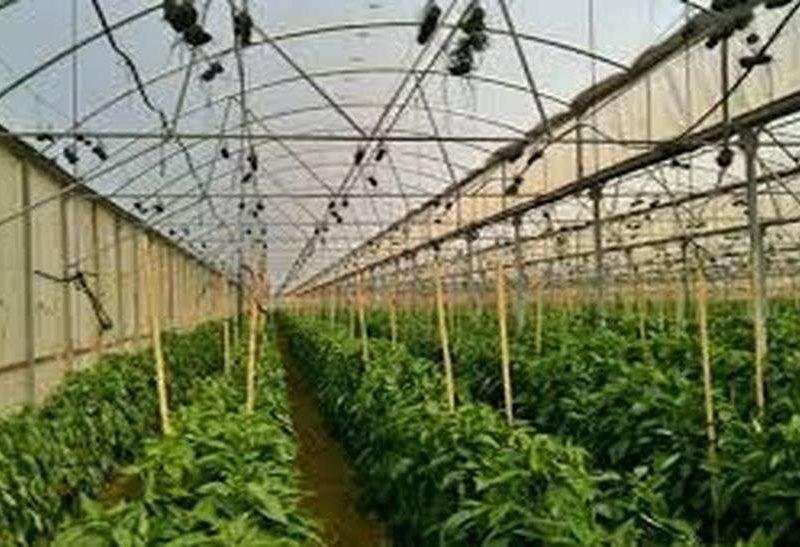 उद्यानिकी योजनाऐं राजस्थान सरकार