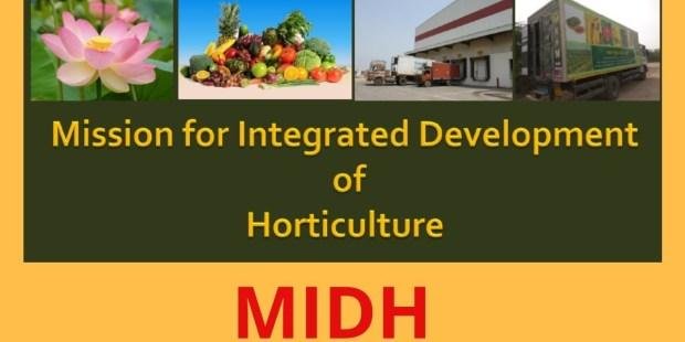 National Horticulture Mission Scheme
