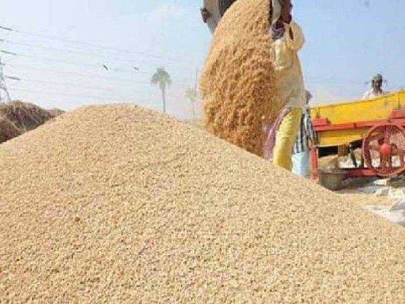 धान आयात पर प्रतिबंध