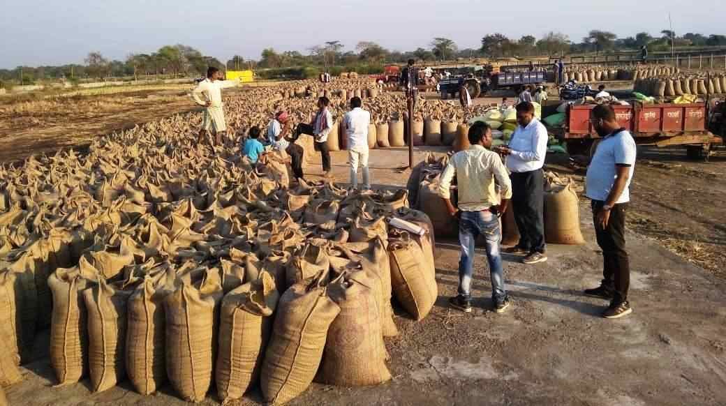 इस राज्य में दो साल में बढ़ी धान बेचने वाली किसानों की संख्या