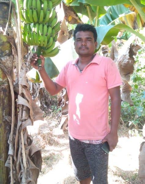 केले की ऐसी खेती कि औरों के लिए मिशाल बन गया ये किसान