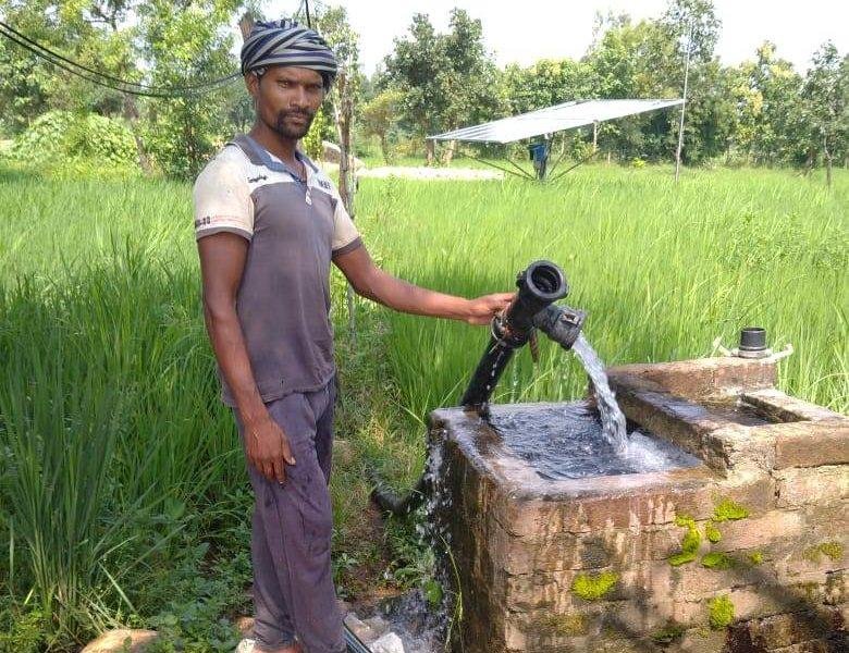 मिश्रित खेती