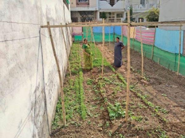 750 स्केयर फीट पर जैविक खेती