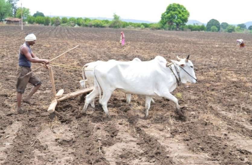 मानसून को देखते हुए ऐसे करें खेतों की तैयारी