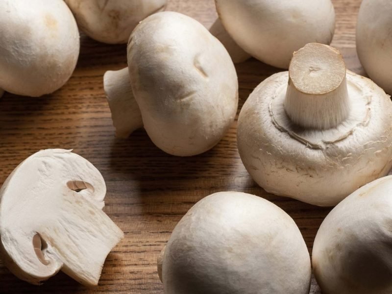 मशरुम की खेती