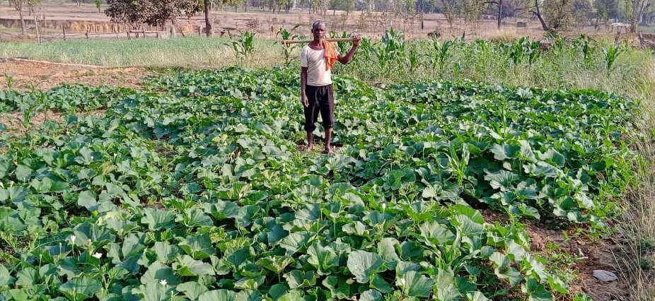 मेहनत करने वालों के लिए रास्ते खुद ही बन जाते हैं...कुछ ऐसी ही है इस किसान की कहानी