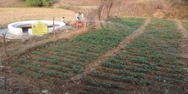 मनरेगा ने दिखाई राह तो आत्मनिर्भरता के रास्ते पर चल पड़ा किसान