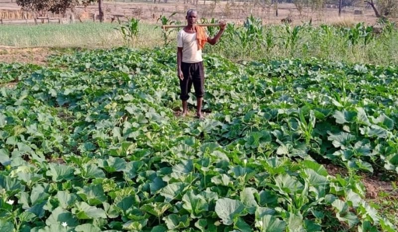 मनरेगा ने दिखाई राह तो अकुशल रोजगार की चिंता से मुक्त हुए गोपाल