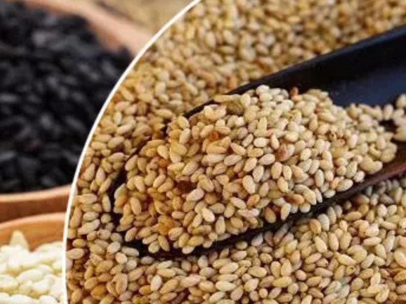 तिल : ऐसे करें खेती तो होगा अधिक लाभ