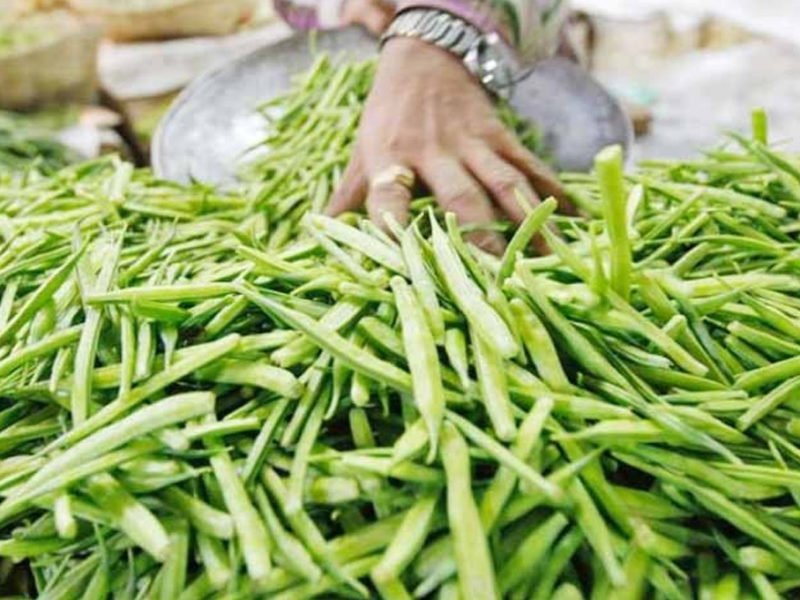 ग्वार की खेती