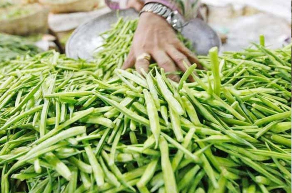 ग्वार की खेती