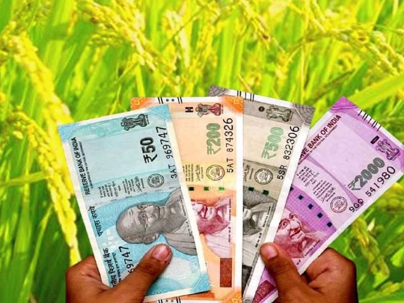 आधार नंबर से लिंक बैंक खाते में ही होगा धान का भुगतान