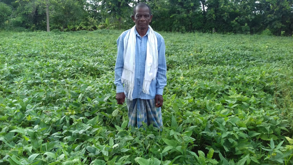 मिली सरकारी मदद तो उन्नत खेती