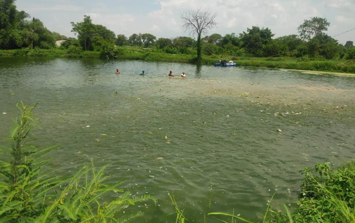 मछली पालन में मुनाफा ही मुनाफा...अनुदान भी