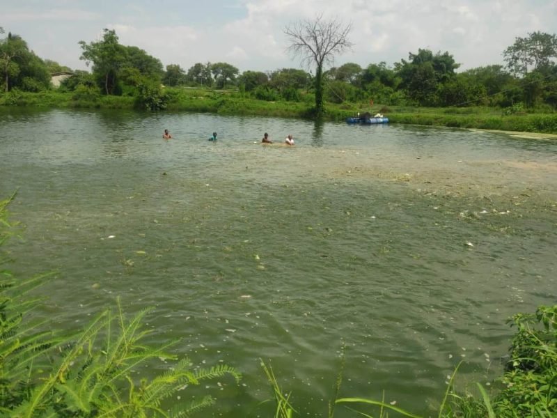 मछली पालन में मुनाफा ही मुनाफा...अनुदान भी