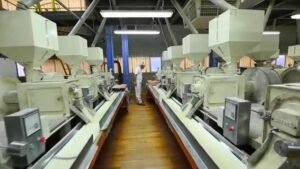 A Detailed Guide on Rice Milling in India
