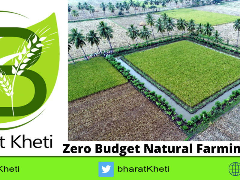 Zero Budget Natural Farming (ZBNF)